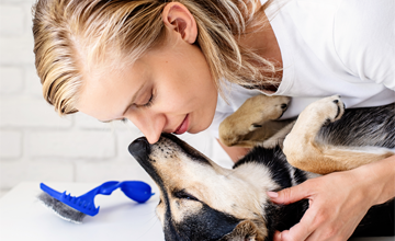 Come proteggere il cane dalla filariosi