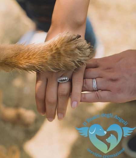 Mano di un uomo, mano diuna donna e zampa di un cane.