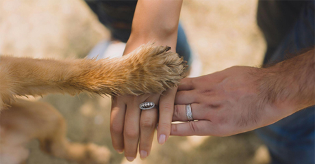 Mano di un uomo, mano diuna donna e zampa di un cane.