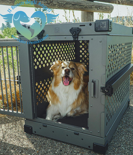 Cane in un trasportino.