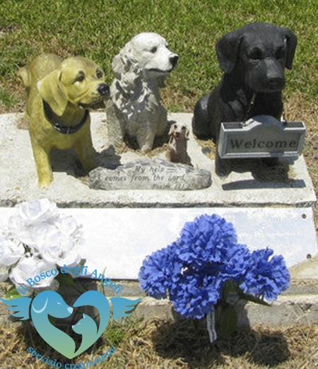 Il Processo di Cremazione per Animali: Cosa Aspettarsi