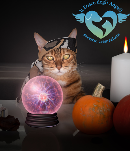 Gatti e spiritualità, un legame con radici antichissime.