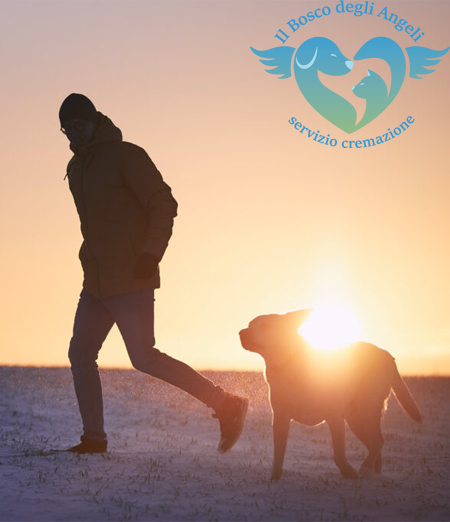Guida Completa alla Cremazione degli Animali Domestici