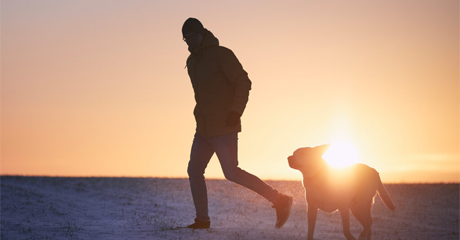 Guida Completa alla Cremazione degli Animali Domestici