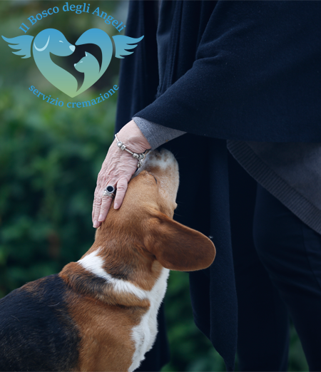Perché è giusto celebrare la memoria del proprio animale: non è solo un animale, è famiglia