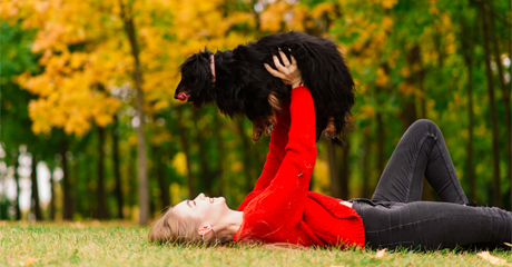Perché è giusto celebrare la memoria del proprio animale: non è solo un animale, è famiglia.