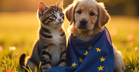 Quando l’amore non finisce: cresce la scelta della cremazione per gli animali anche in Europa