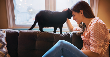 Perché in tanti scelgono la cremazione per il loro animale domestico