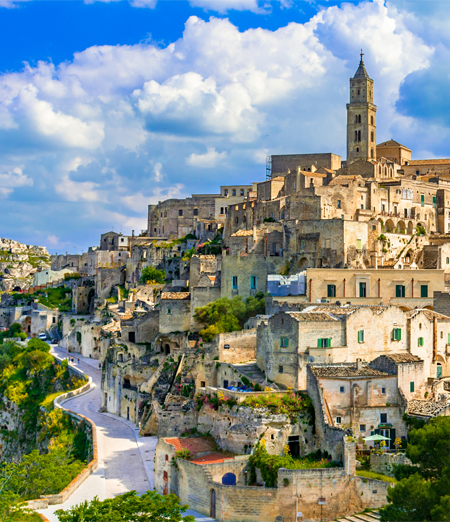 Cremazione Animali a Matera e provincia