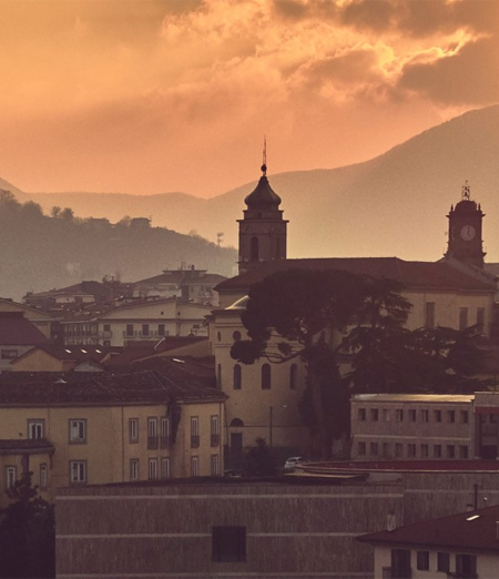 Cremazione Animali ad Avellino e provincia