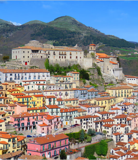 Cremazione Animali a Potenza e provincia